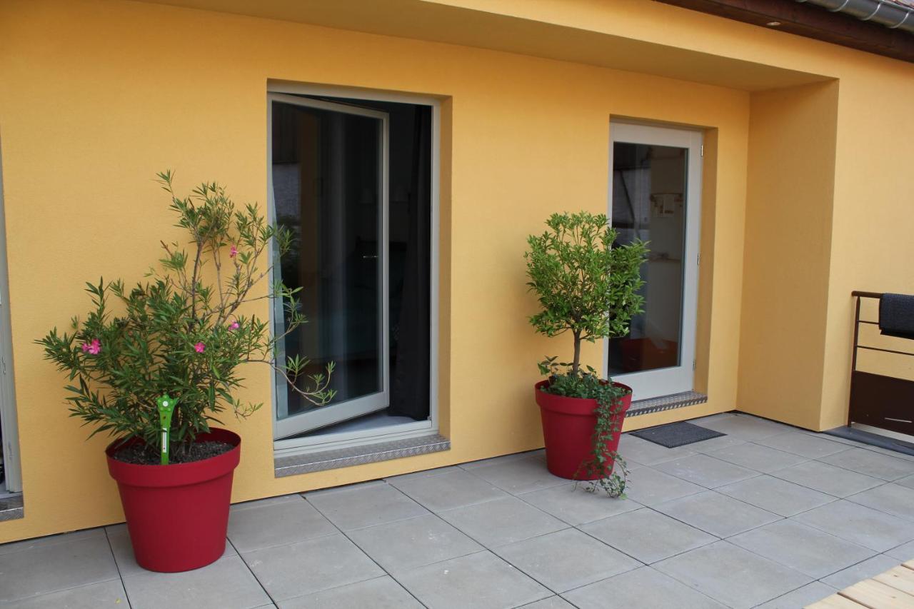 Maison D'Hotes Le Cep D'Or Alsace Saint-Hippolyte  Exterior photo
